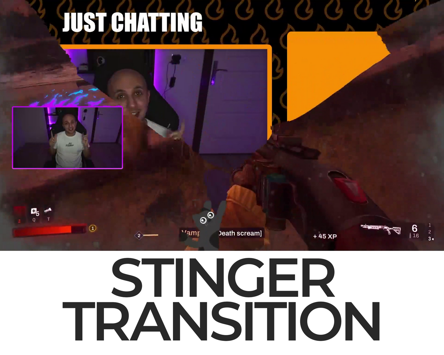 Falling Cat Stinger Transition