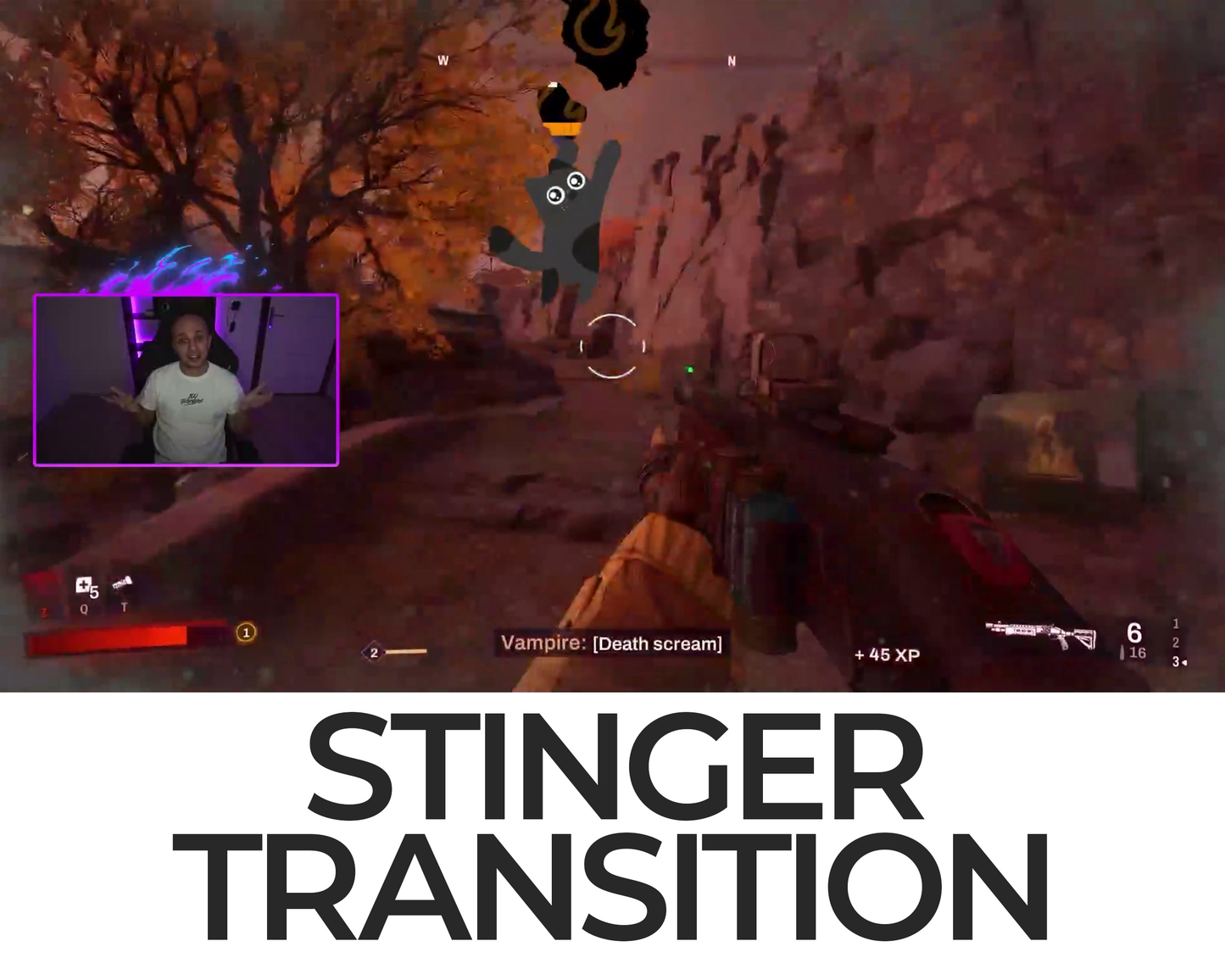 Falling Cat Stinger Transition