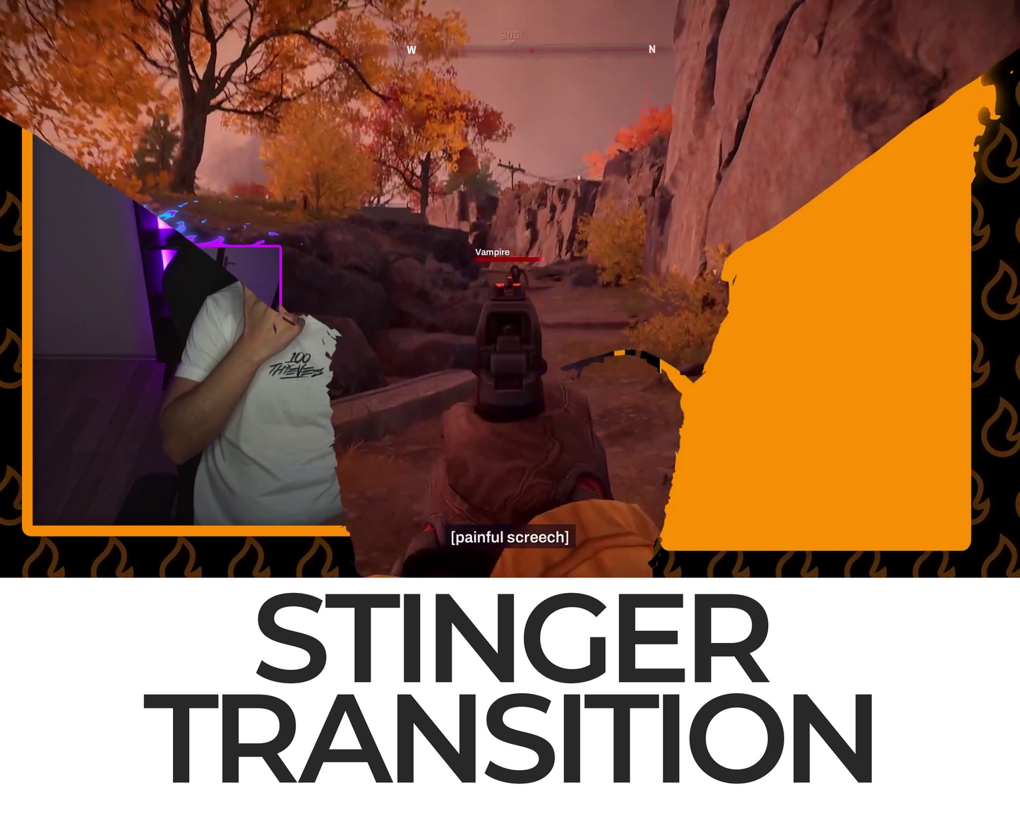 Falling Cat Stinger Transition