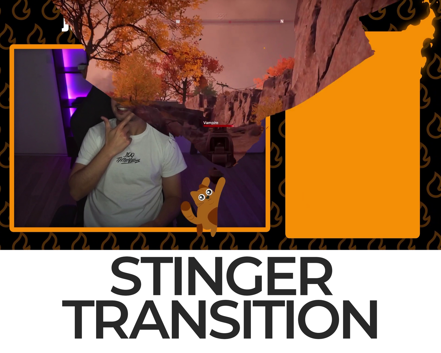 Falling Cat Stinger Transition
