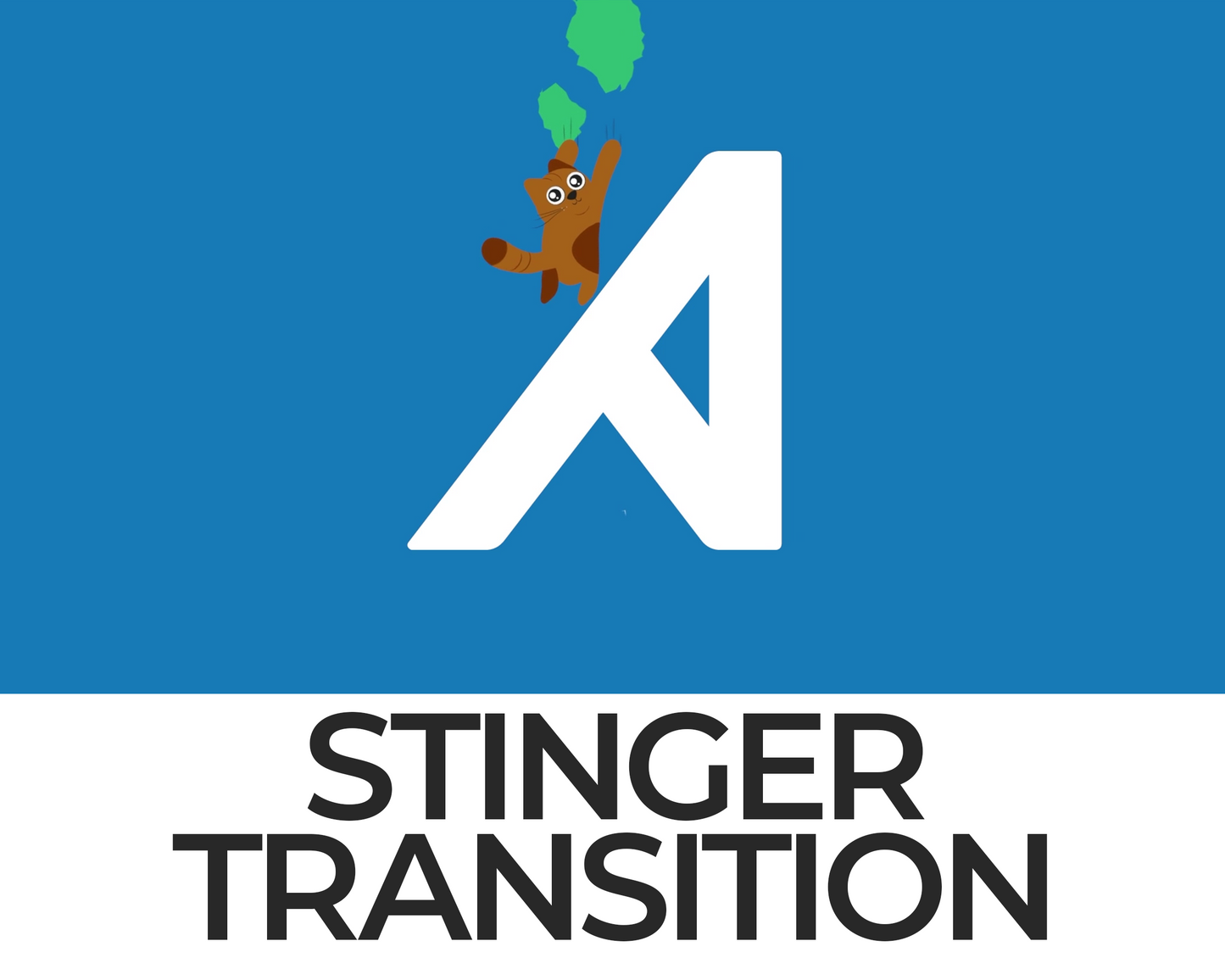 Falling Cat Stinger Transition