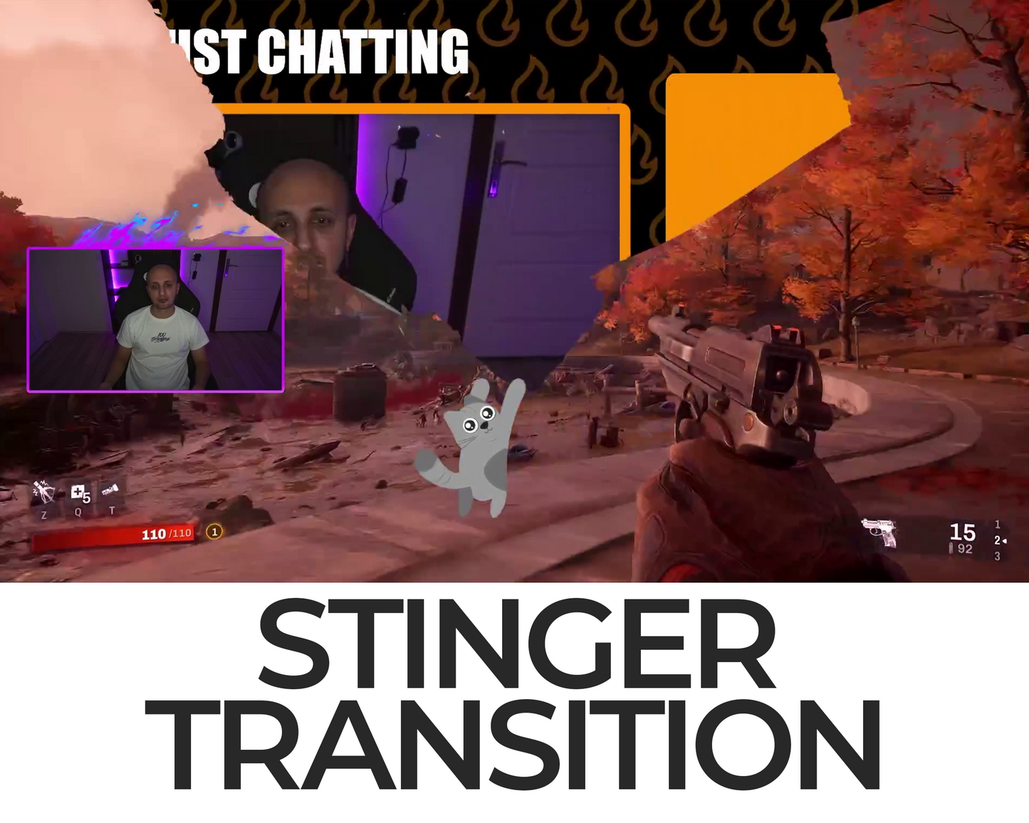 Falling Cat Stinger Transition