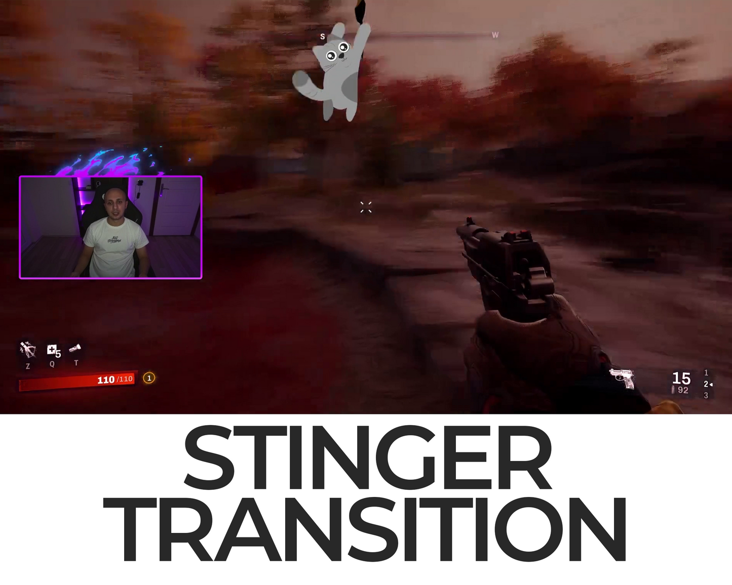Falling Cat Stinger Transition