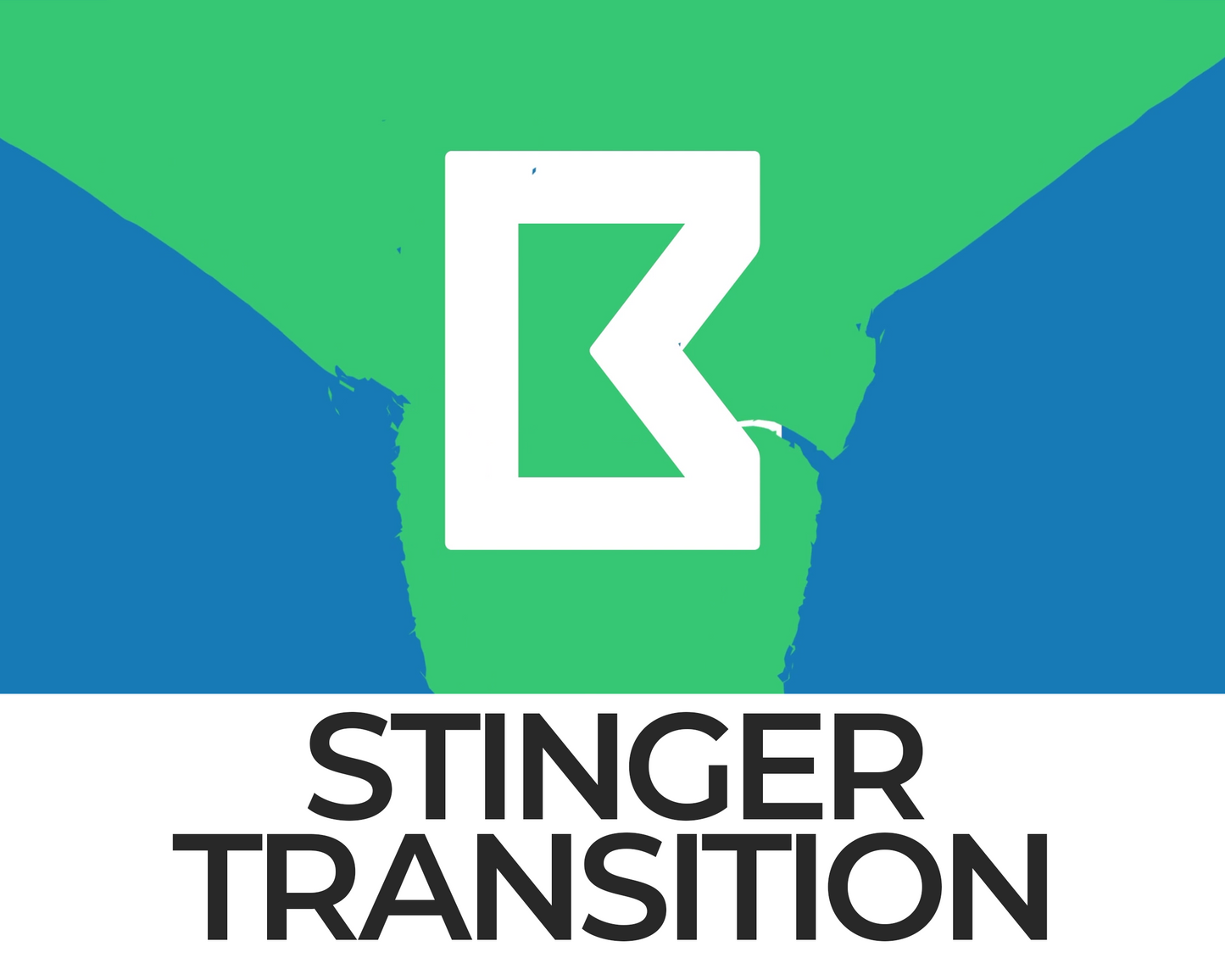 Falling Cat Stinger Transition