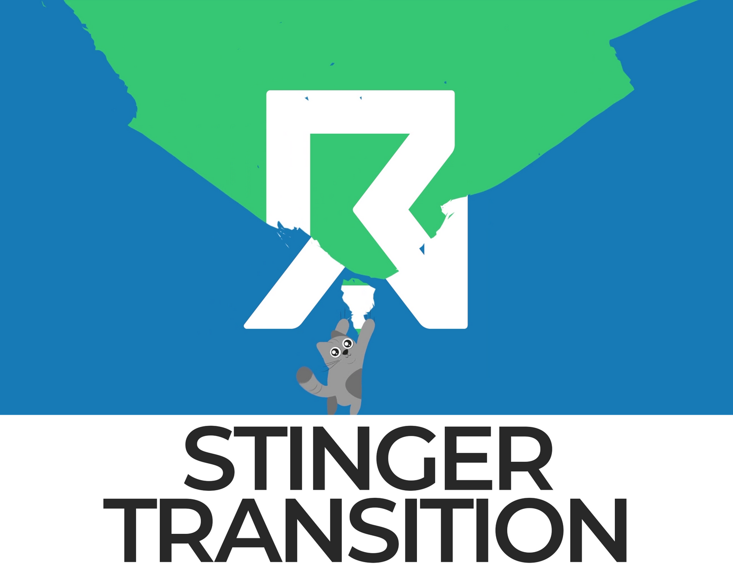 Falling Cat Stinger Transition