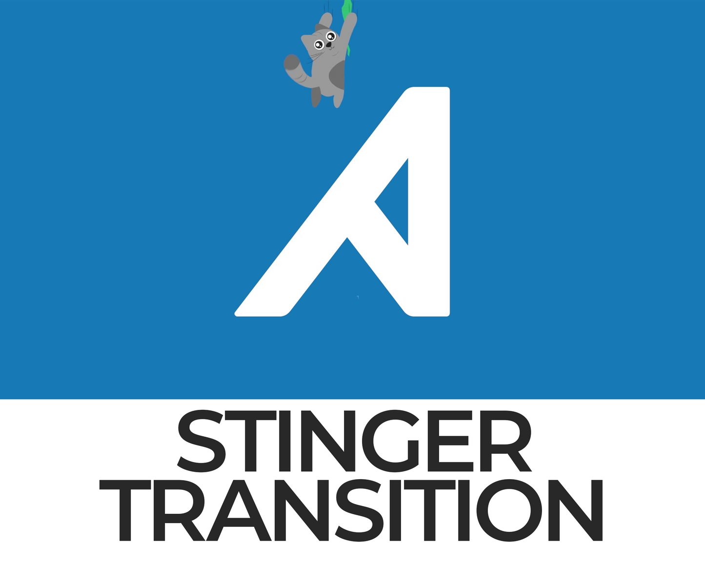 Falling Cat Stinger Transition