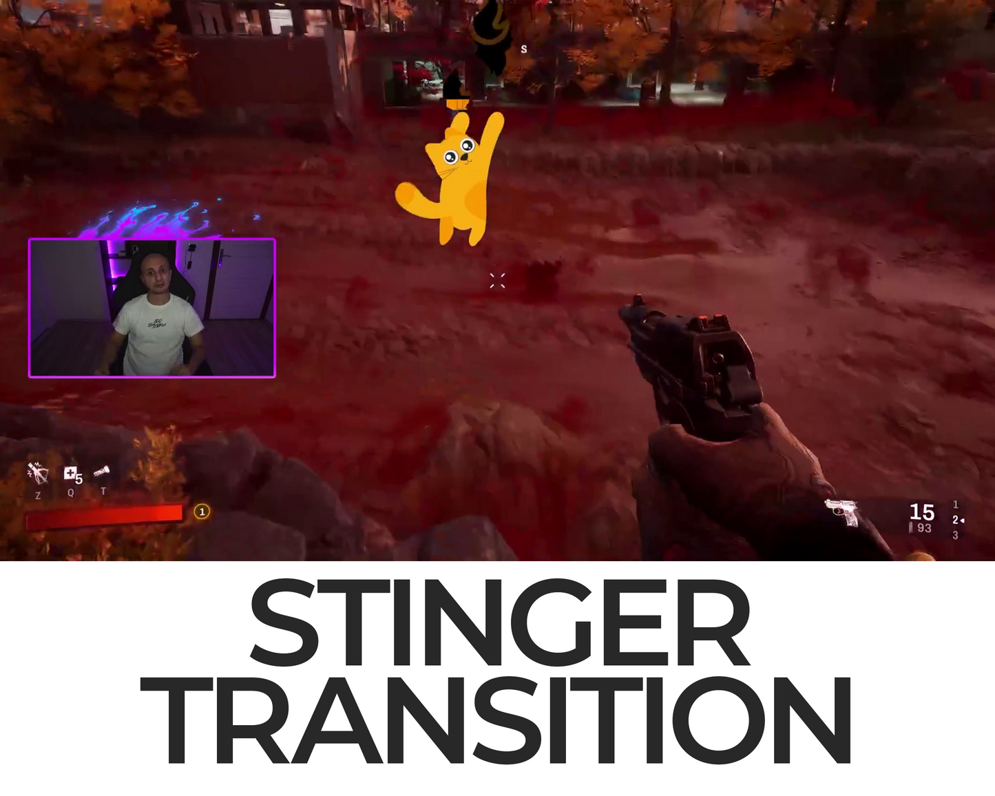 Falling Cat Stinger Transition