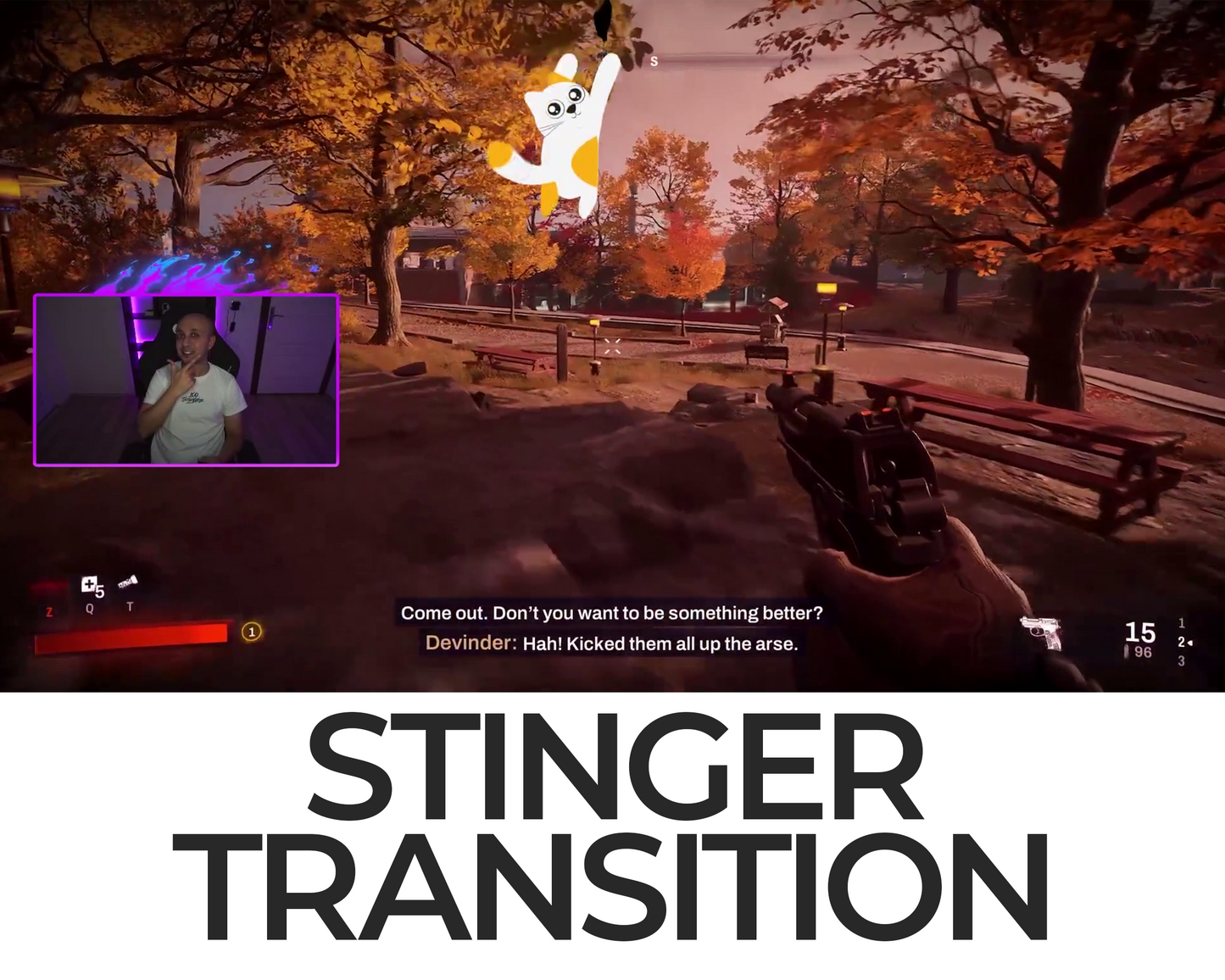 Falling Cat Stinger Transition