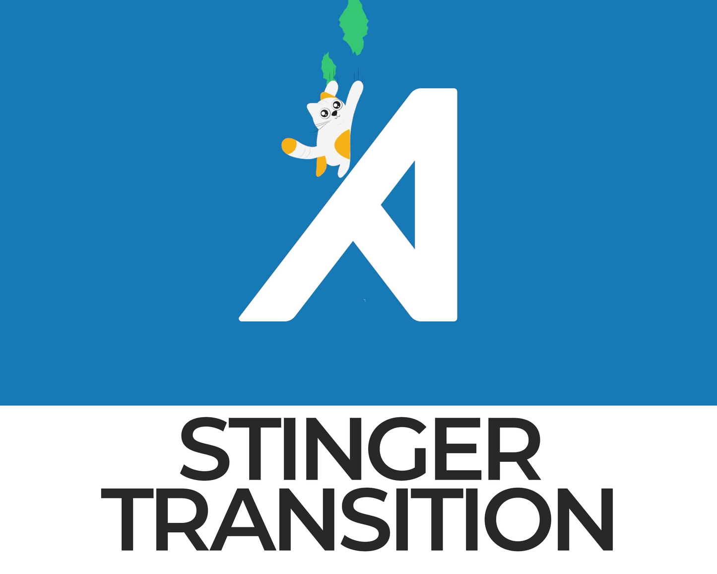 Falling Cat Stinger Transition