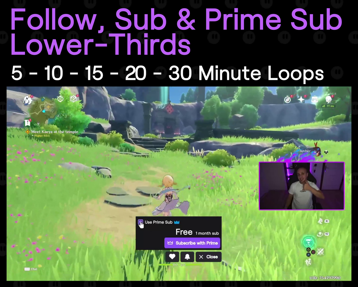 Follow - Sub - Prime Twitch Lower-Thirds
