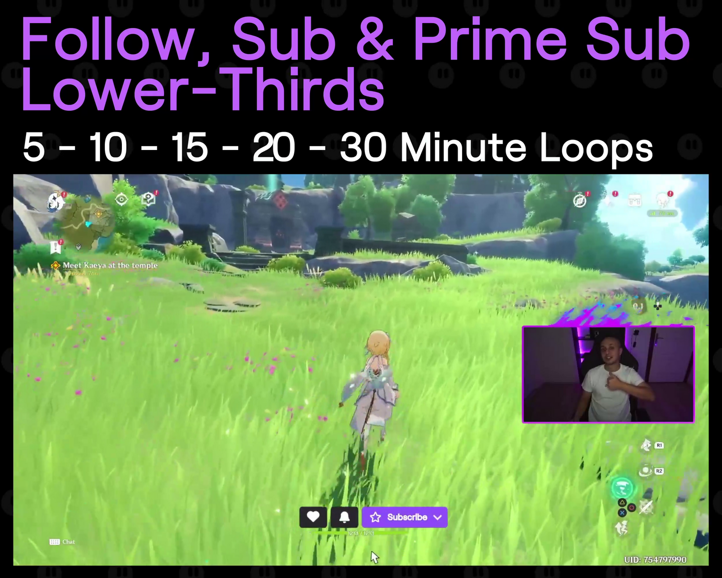 Follow - Sub - Prime Twitch Lower-Thirds