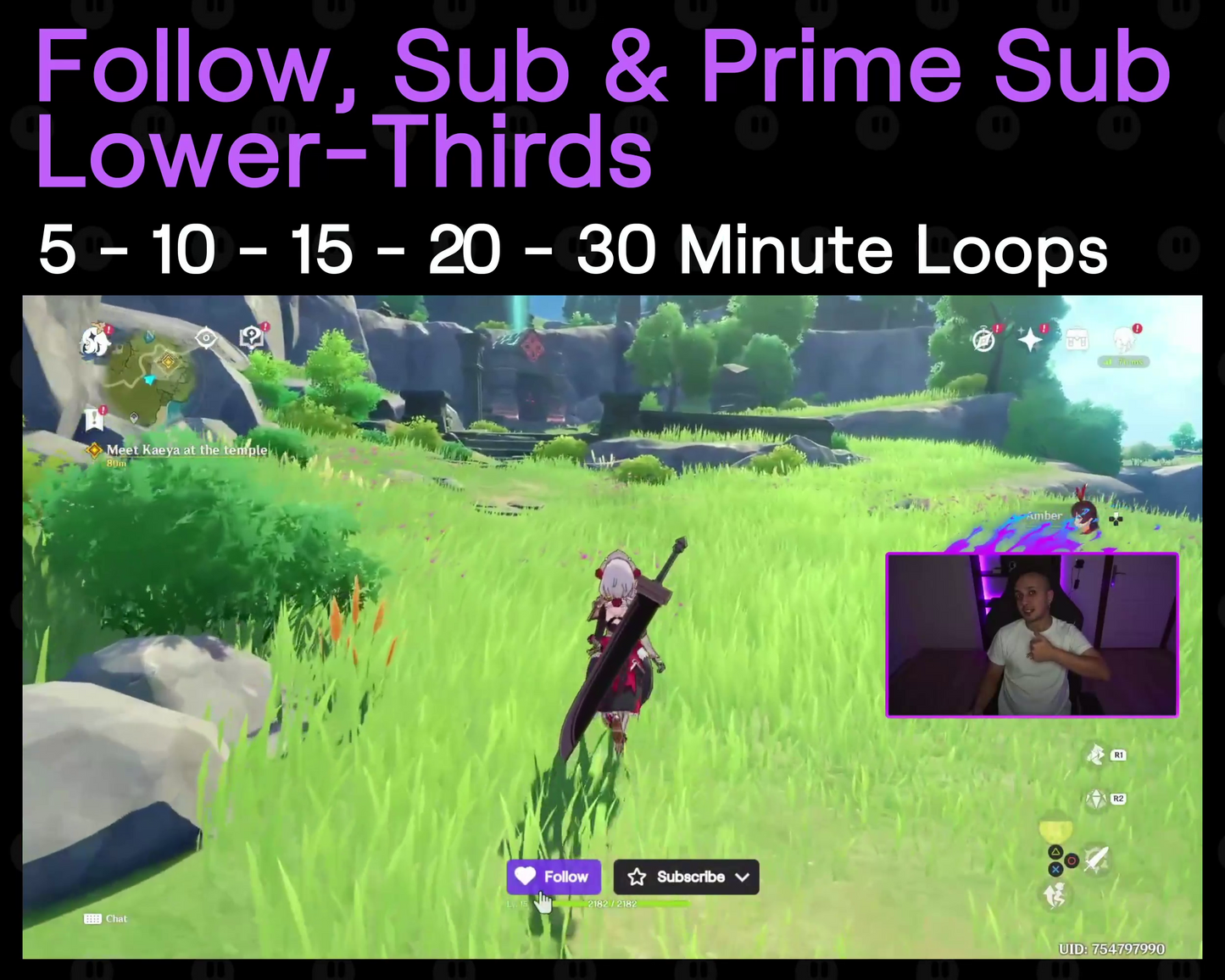 Follow - Sub - Prime Twitch Lower-Thirds