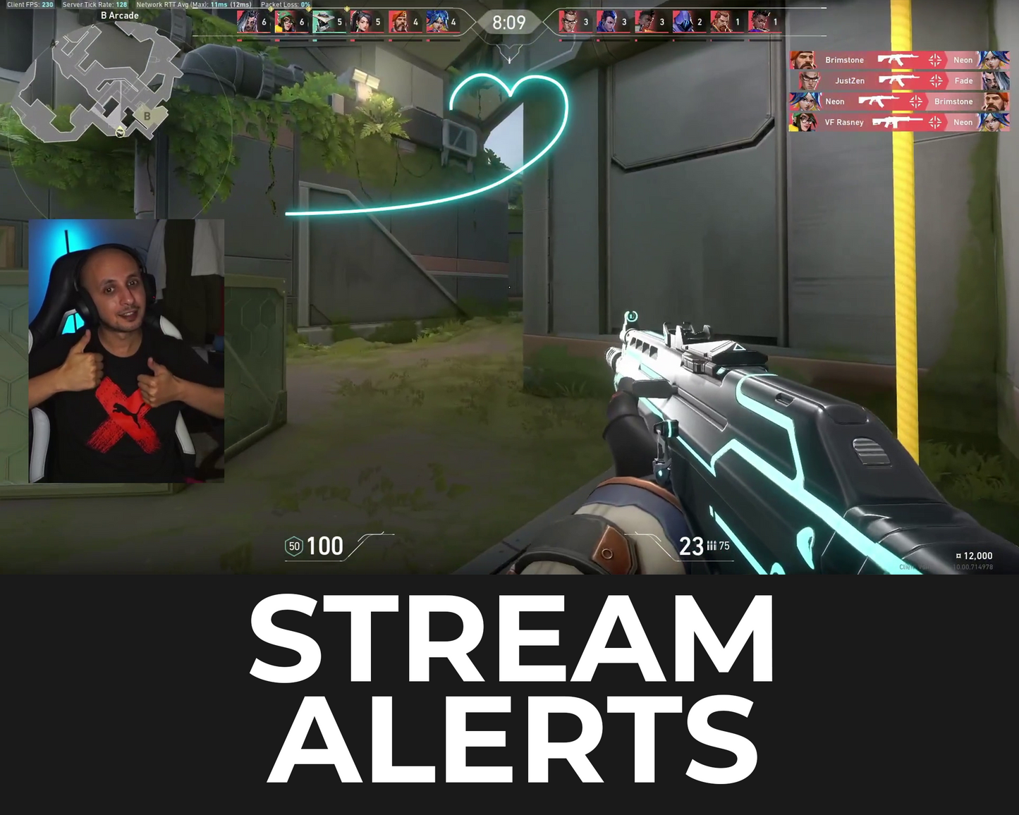 Neon Heart Twitch Stream Alerts