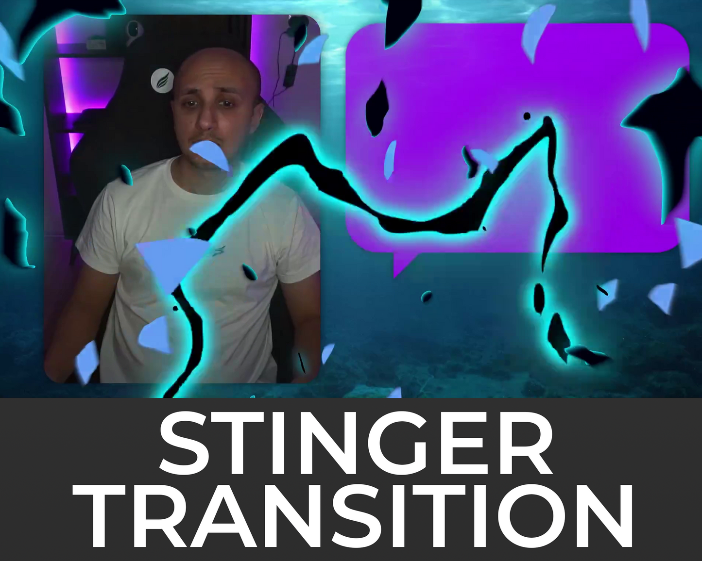 Dark Lightning Stinger Transition