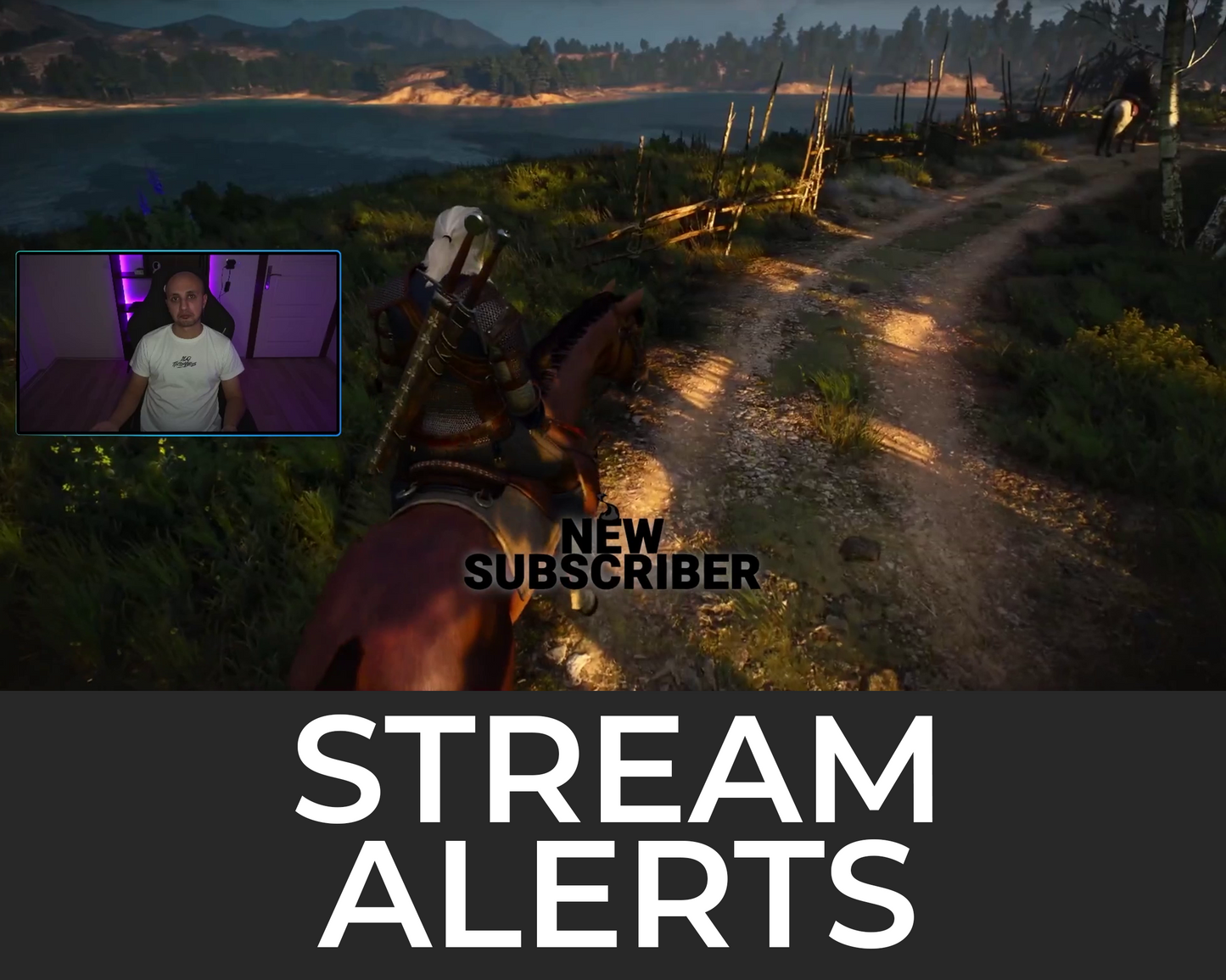 Meteor Twitch Stream Alerts