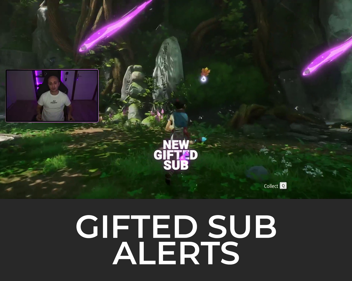 Meteor Gifted Subscriber Alerts