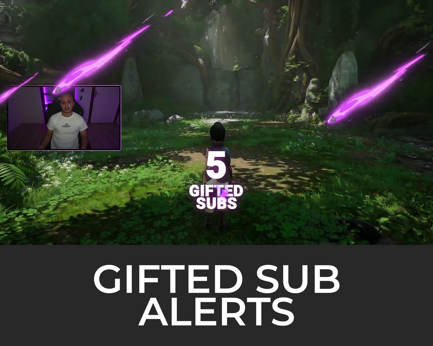 Meteor Gifted Subscriber Alerts