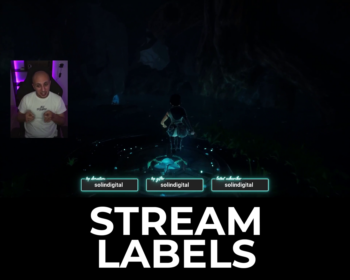 Neon Twitch Stream Labels