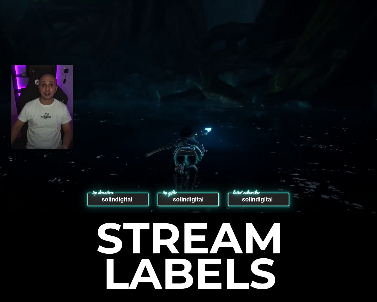 Neon Twitch Stream Labels