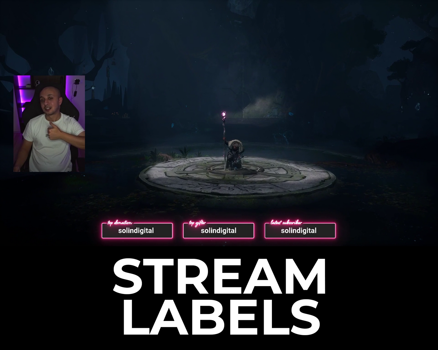Neon Twitch Stream Labels