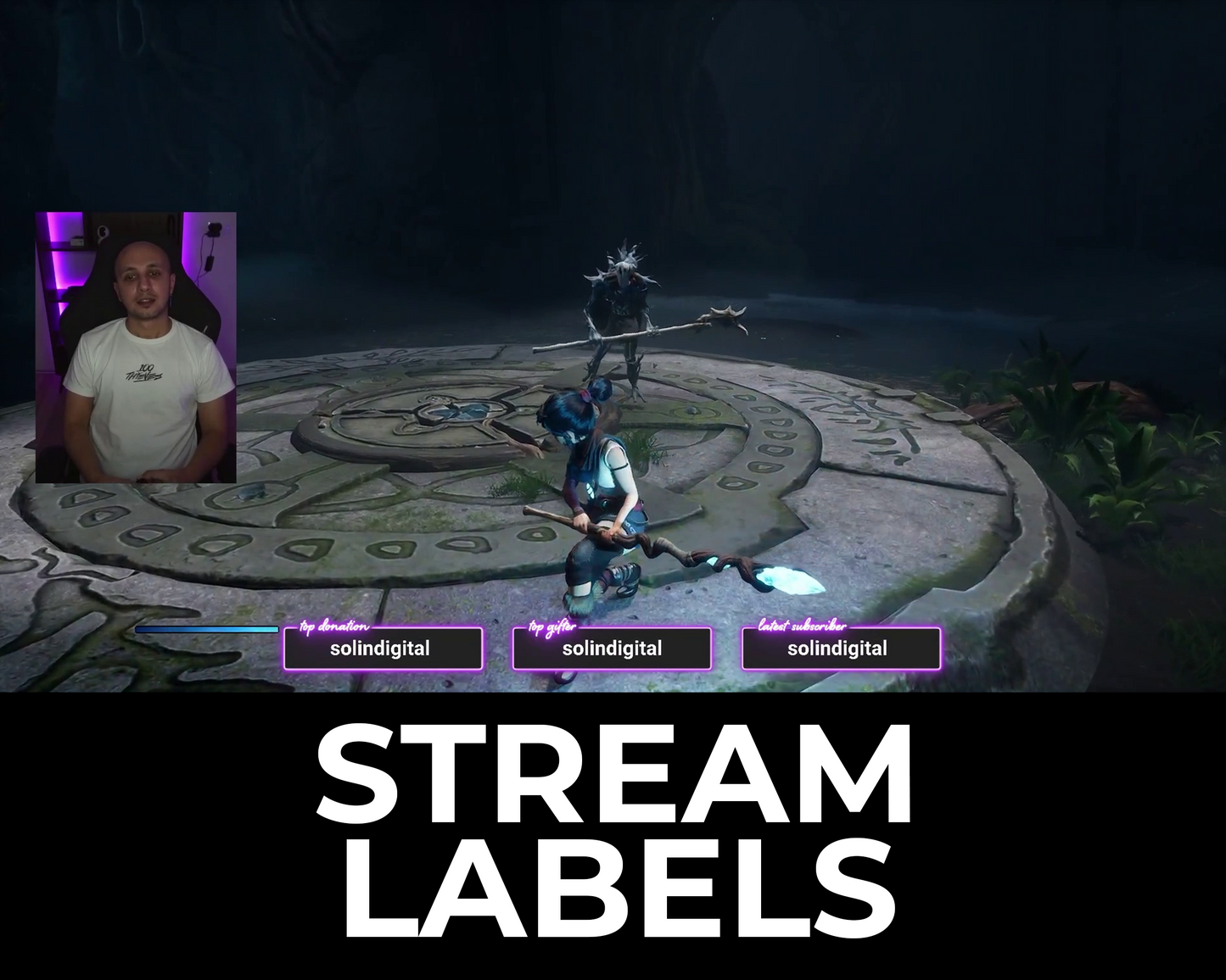 Neon Twitch Stream Labels