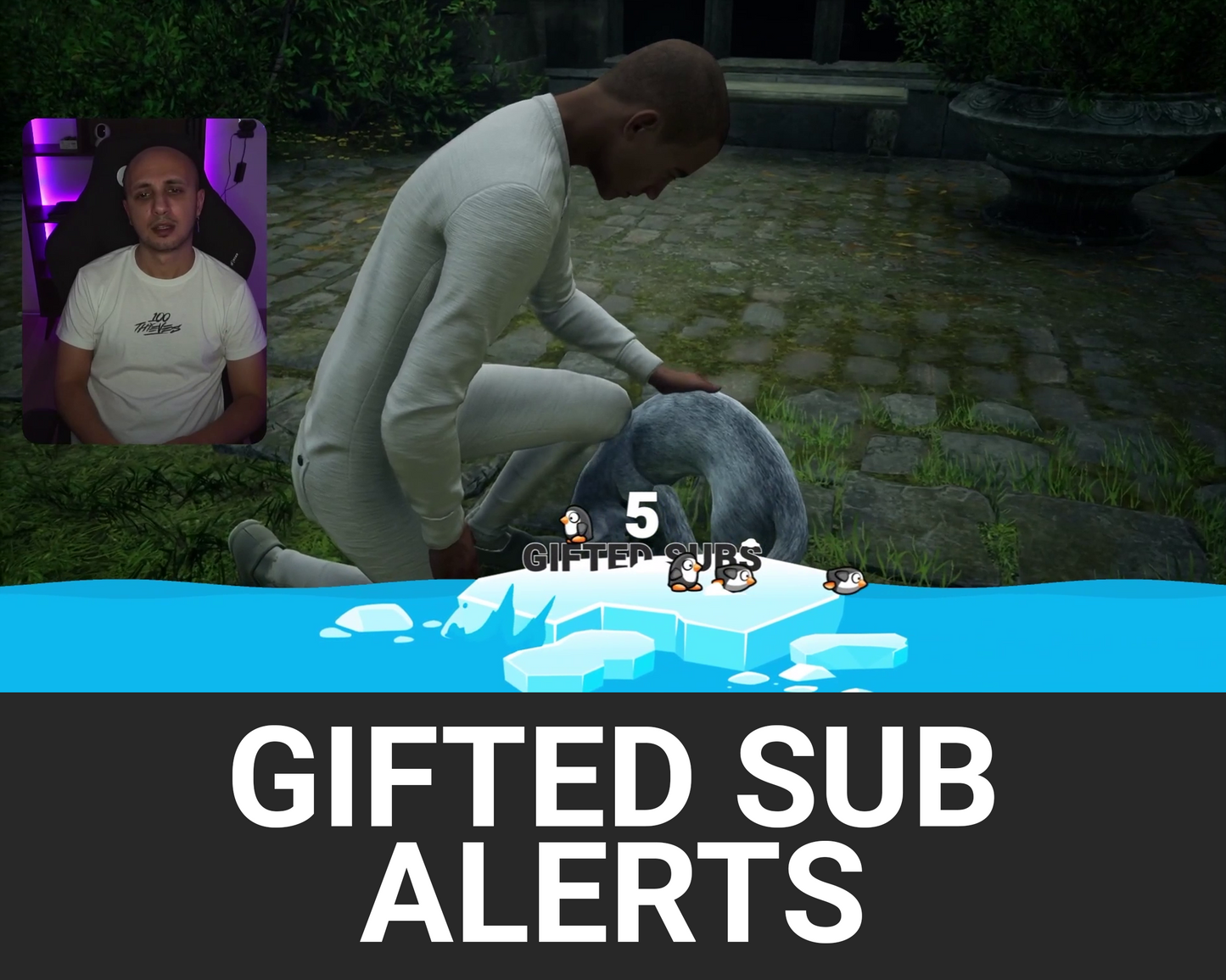 Penguins Gifted Subscriber Alerts