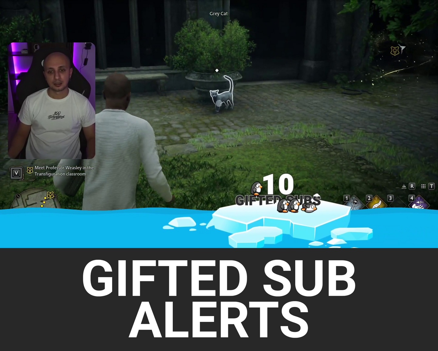 Penguins Gifted Subscriber Alerts