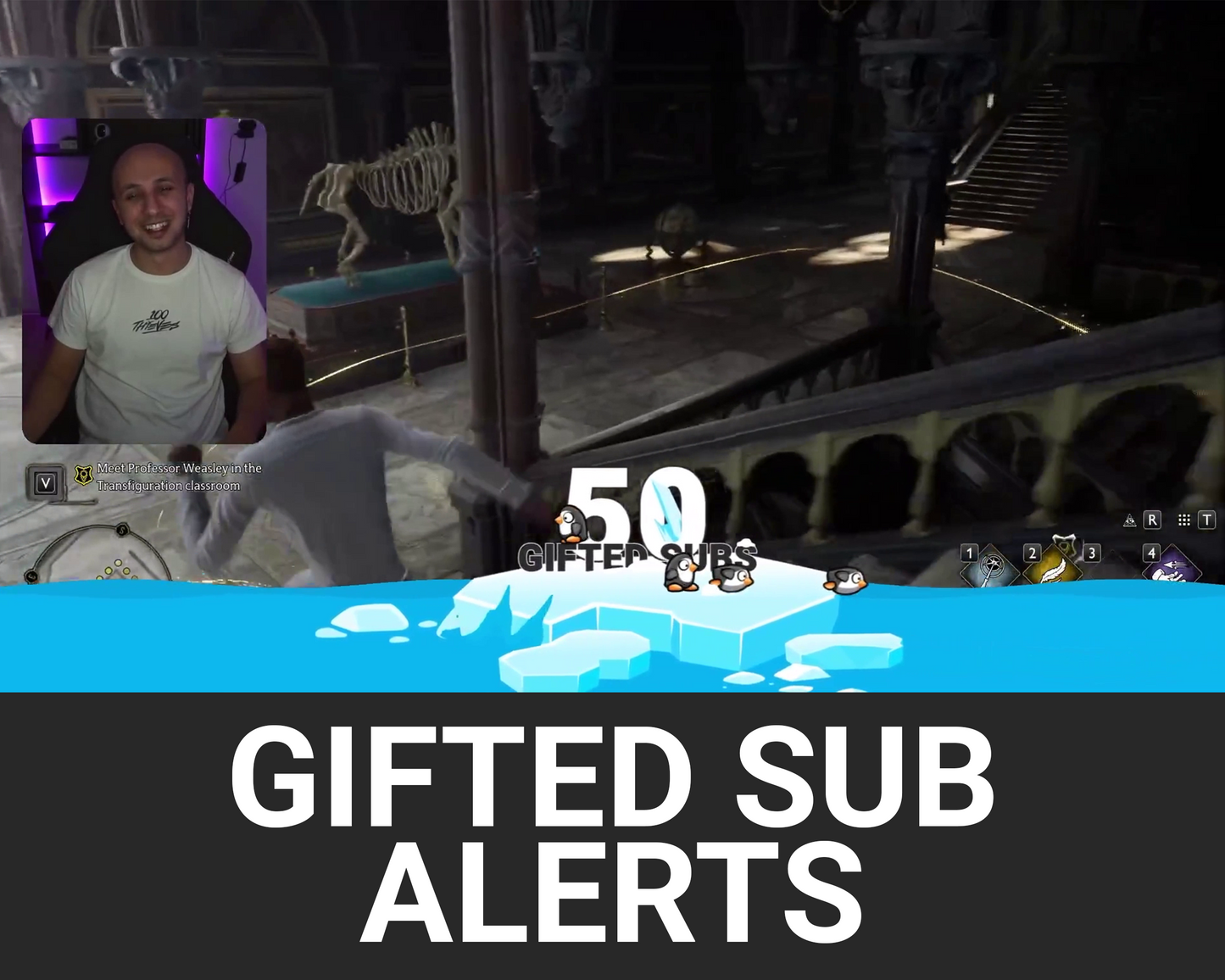 Penguins Gifted Subscriber Alerts