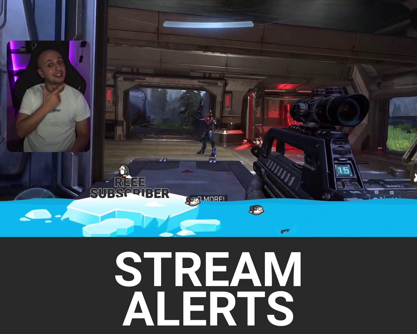 Penguins Twitch Stream Alerts