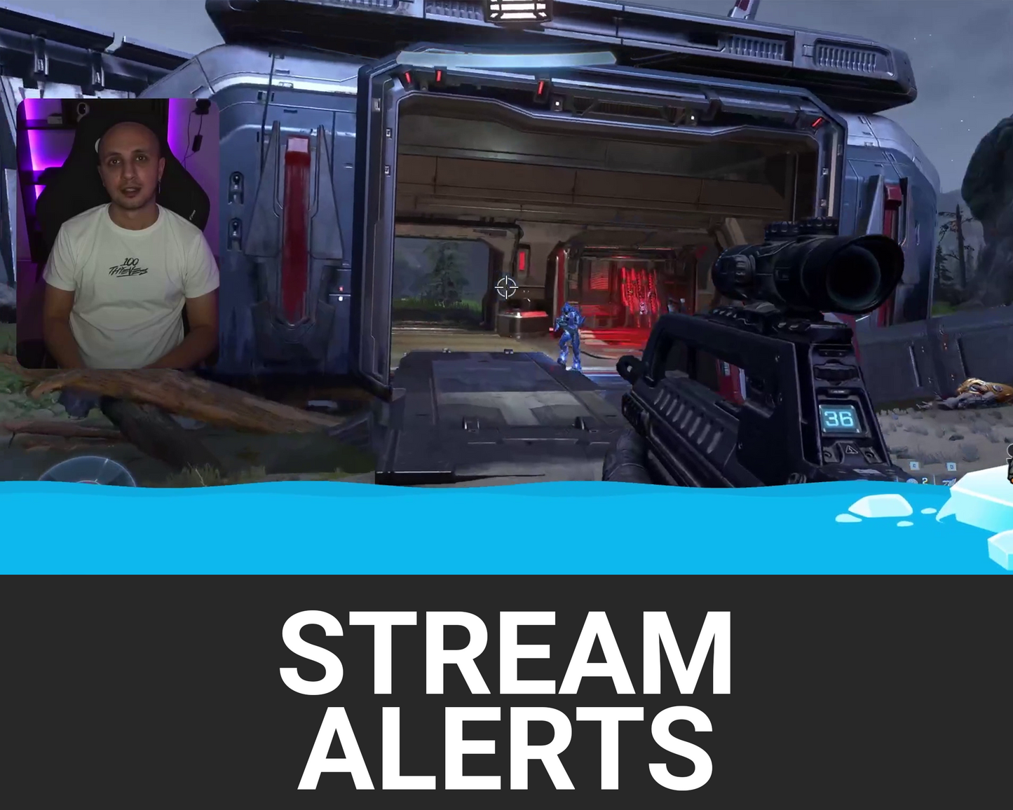 Penguins Twitch Stream Alerts