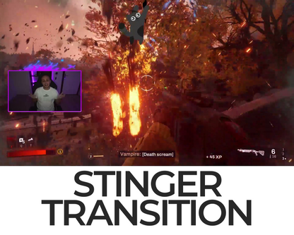 Falling Cat Stinger Transition