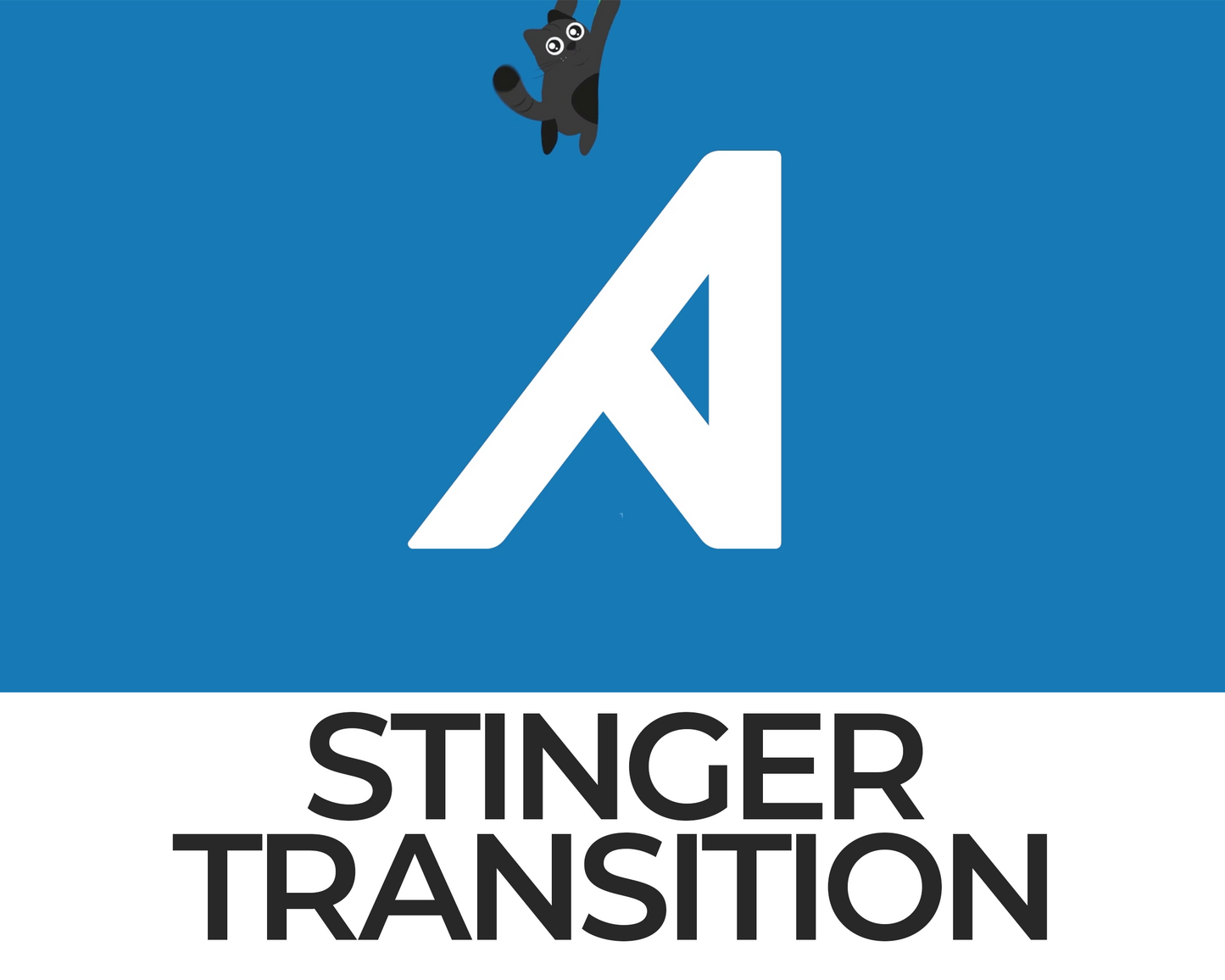 Falling Cat Stinger Transition