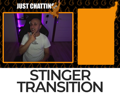 Falling Cat Stinger Transition