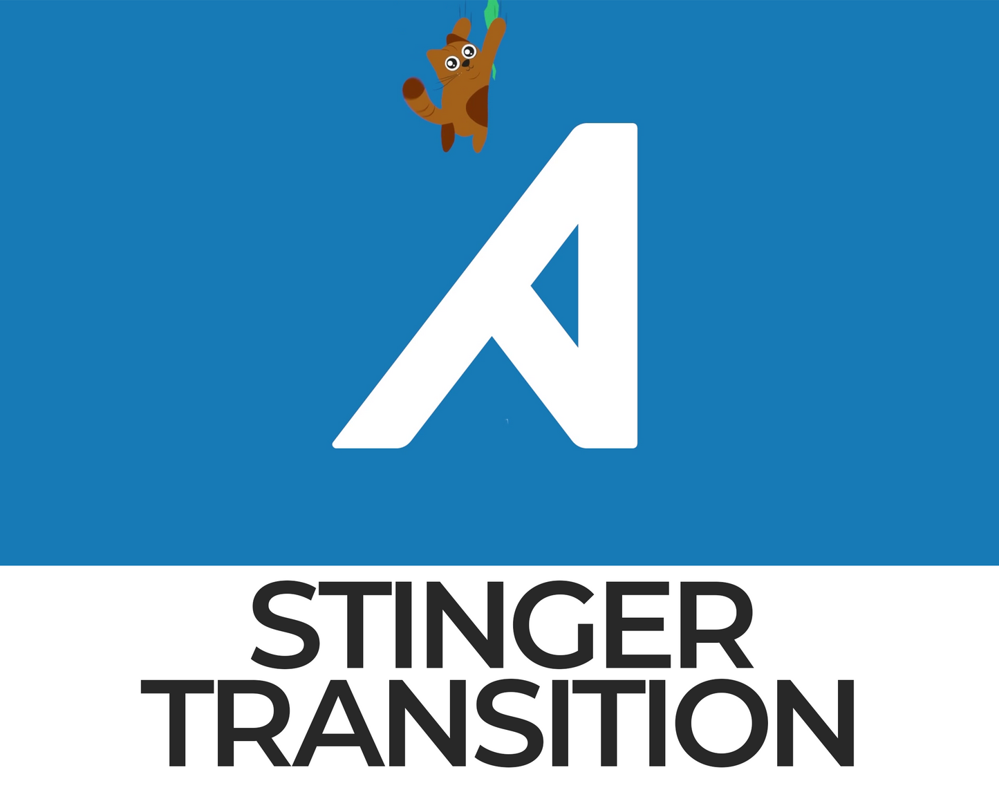 Falling Cat Stinger Transition