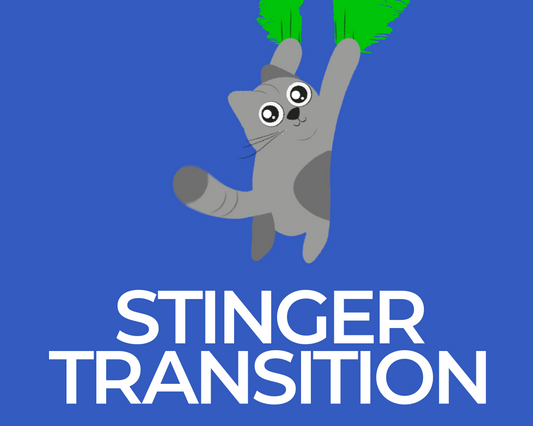 Falling Cat Stinger Transition