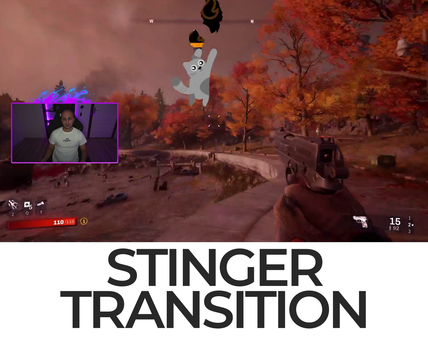 Falling Cat Stinger Transition