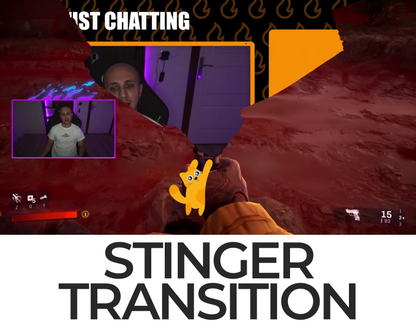 Falling Cat Stinger Transition