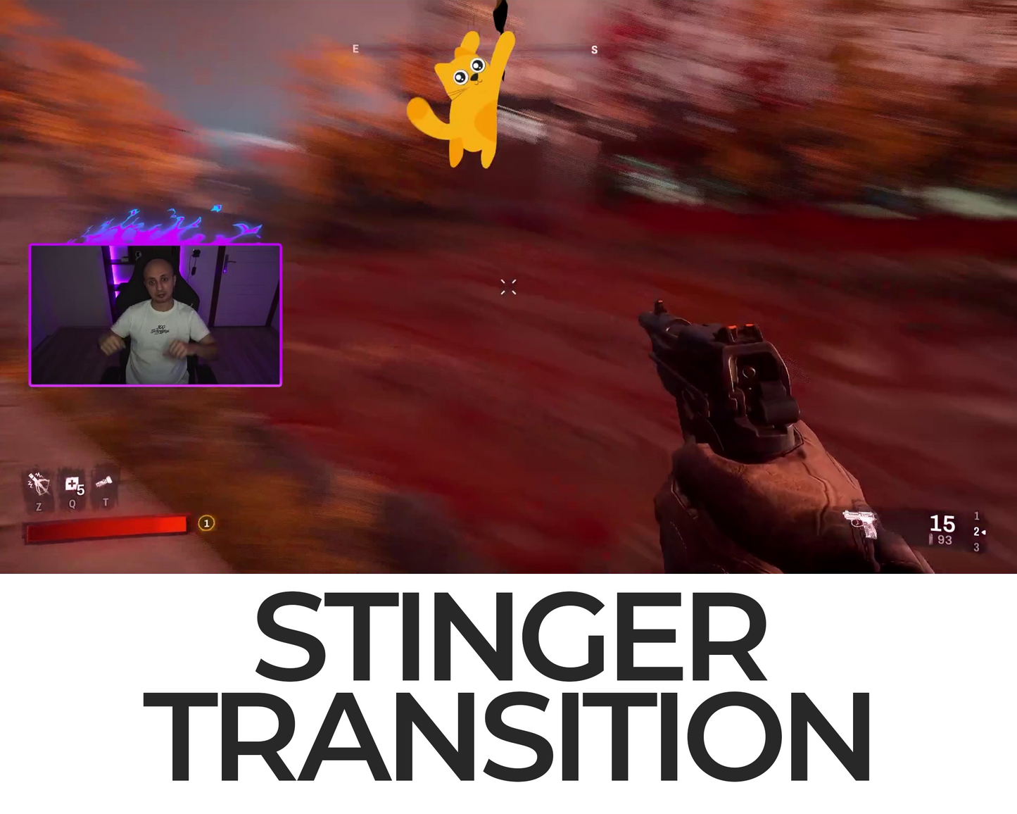 Falling Cat Stinger Transition