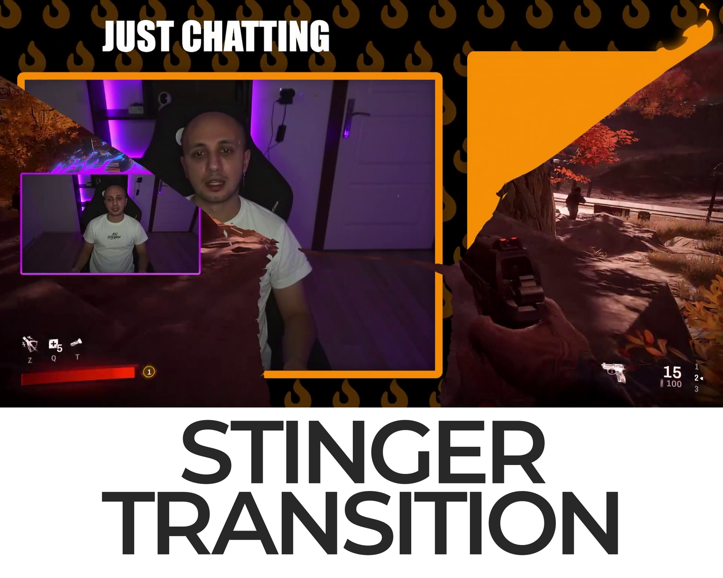 Falling Cat Stinger Transition