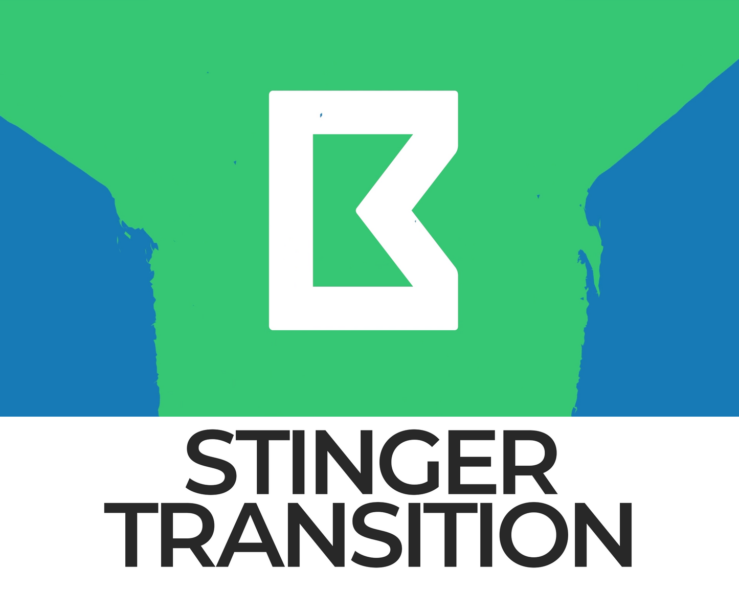 Falling Cat Stinger Transition