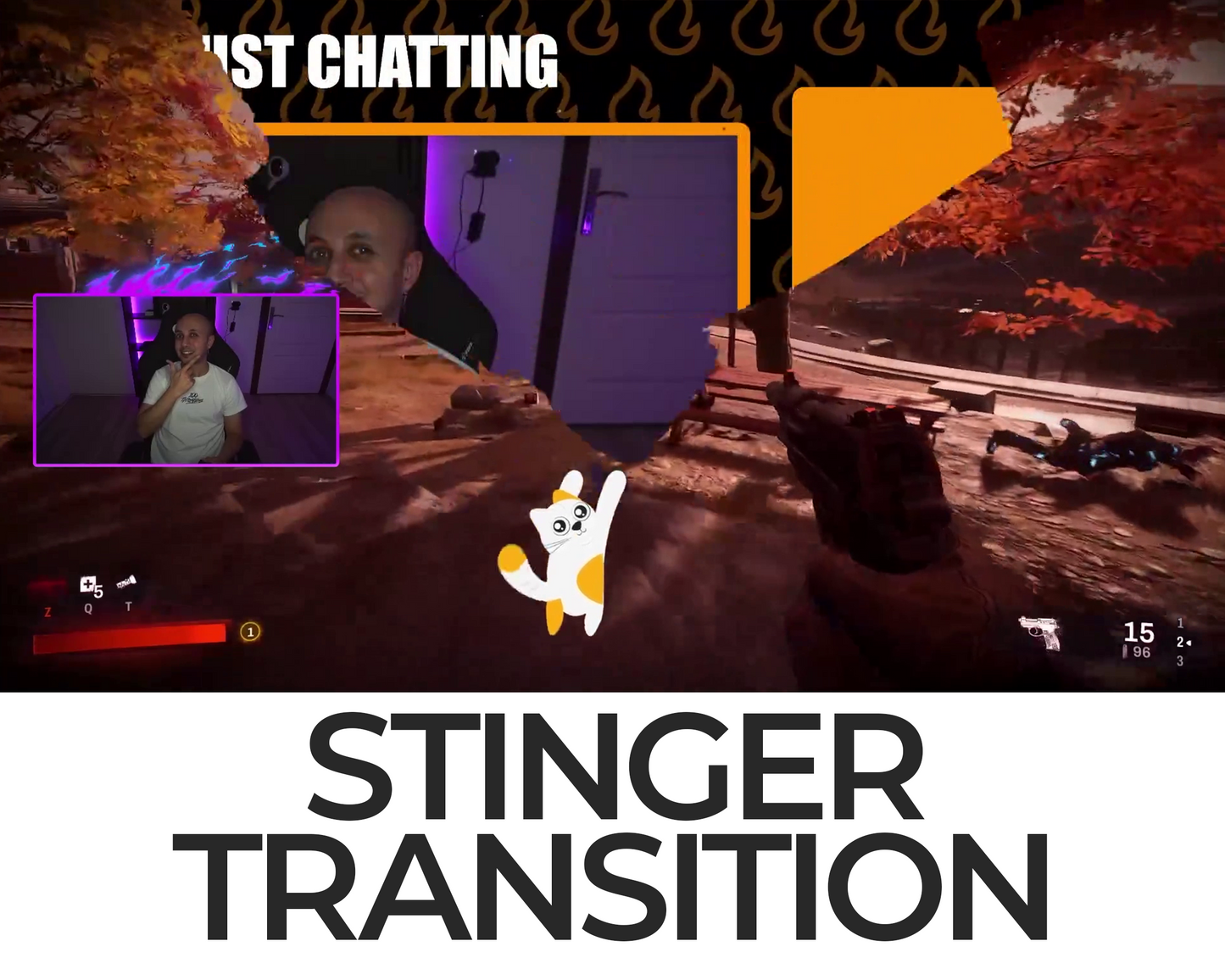 Falling Cat Stinger Transition