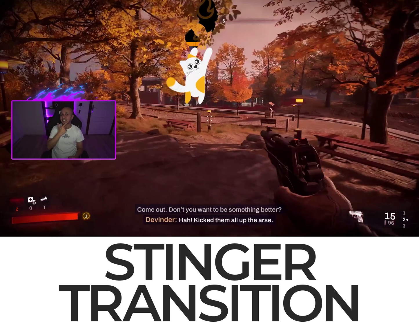 Falling Cat Stinger Transition