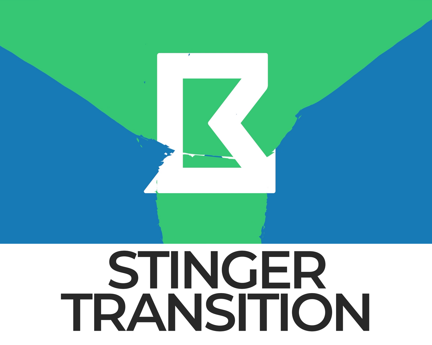 Falling Cat Stinger Transition