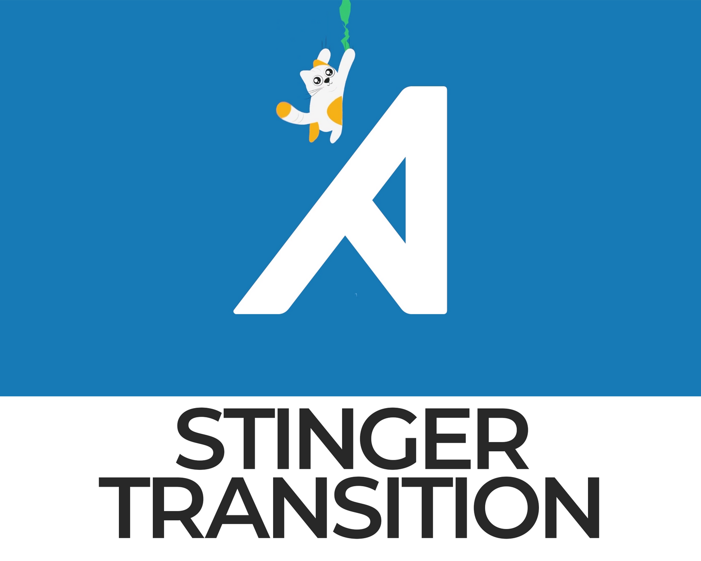 Falling Cat Stinger Transition