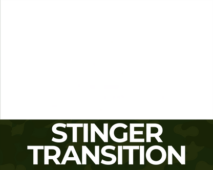 Flashbang Stinger Transition