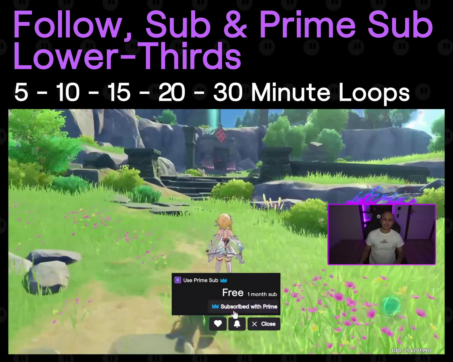 Follow - Sub - Prime Twitch Lower-Thirds