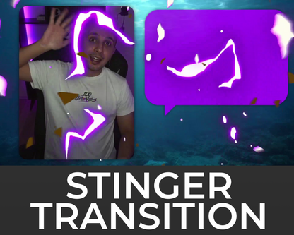 Lightning Stinger Transition