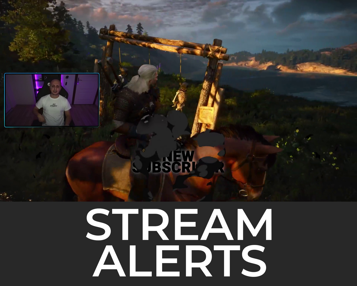 Meteor Twitch Stream Alerts