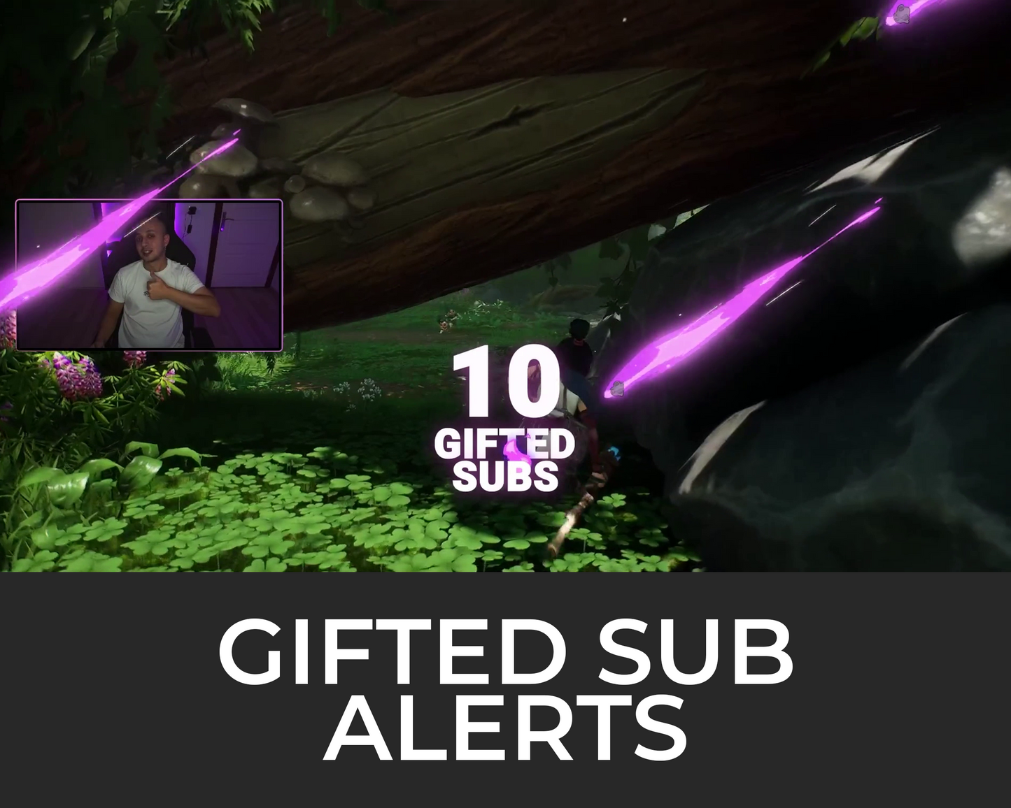 Meteor Gifted Subscriber Alerts