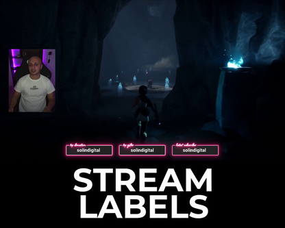 Neon Twitch Stream Labels